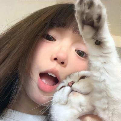 加菲猫的幸福生活第二季 在线播放