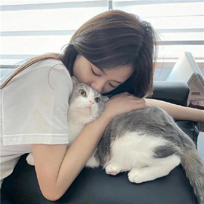 8级警报